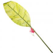 Лист декоративный LaSella, длина 71 см